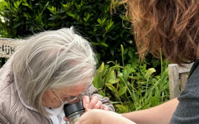 natuurles in onze eigen tuin