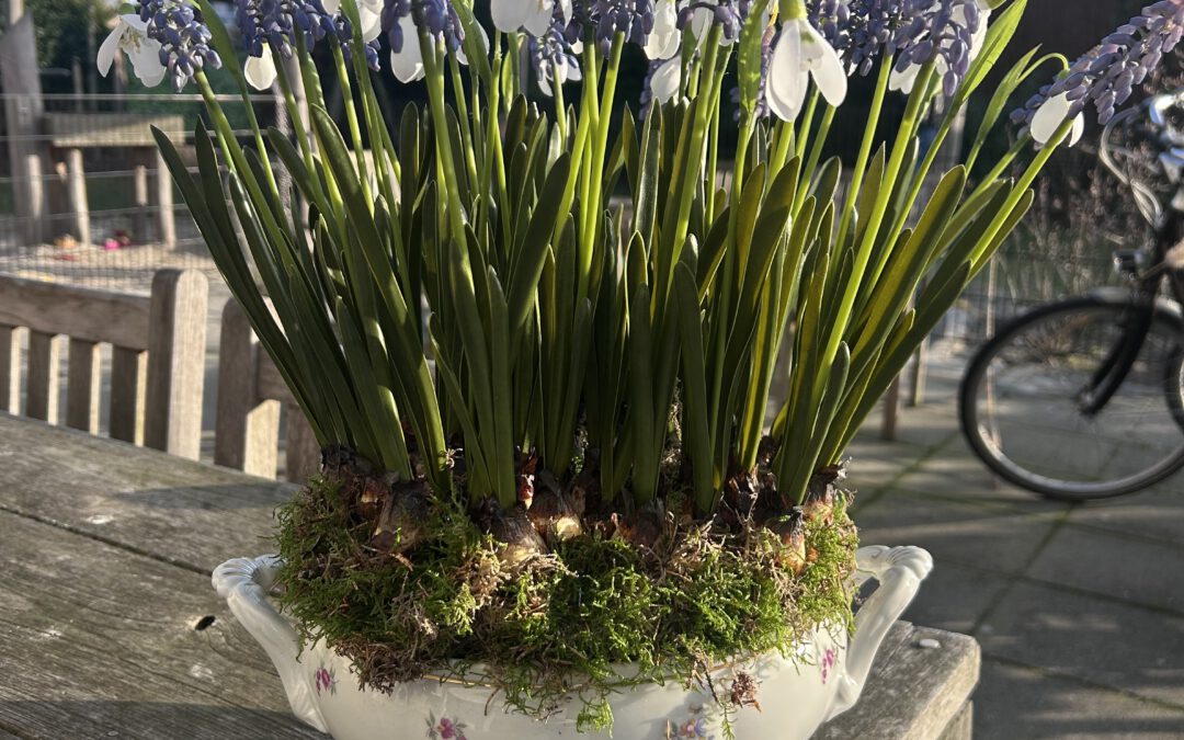 lente 2026